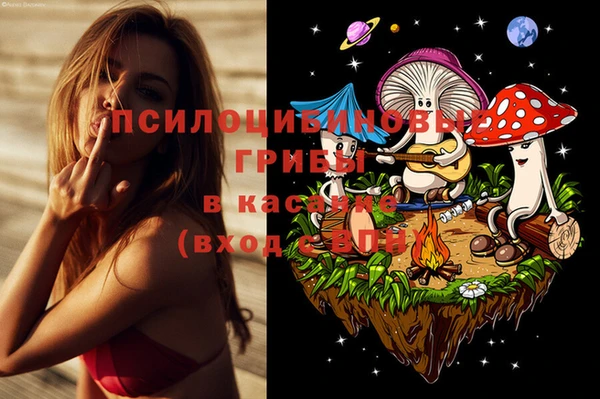 марки lsd Вяземский