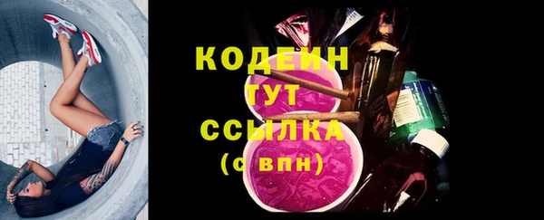 соль ск Верхний Тагил