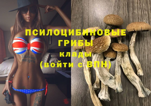 спайс Вязьма