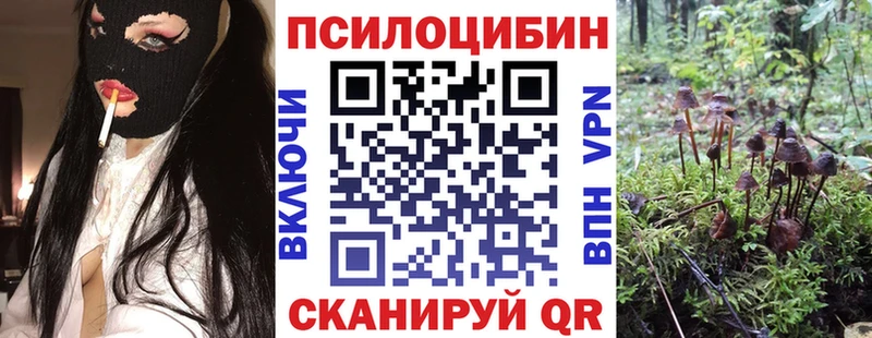 наркошоп  Заводоуковск  Псилоцибиновые грибы Psilocybe 